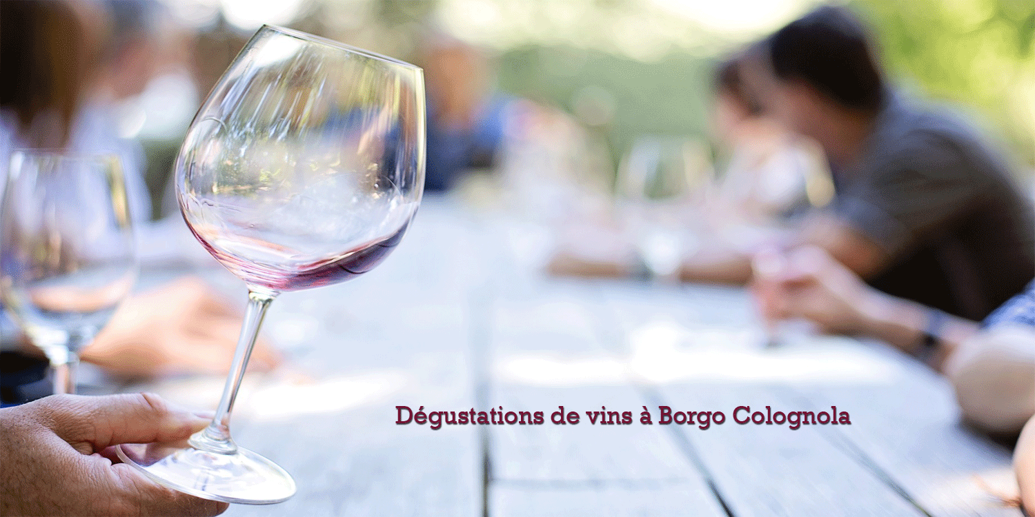 dégustation de vins